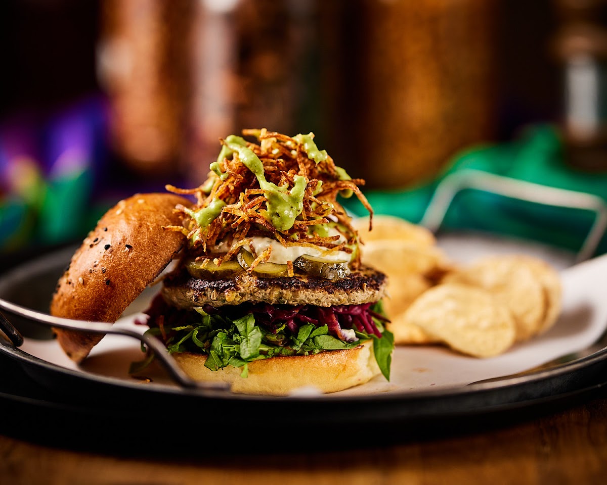 Funky Bhangra Photos 2